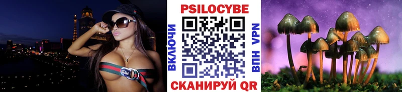 Купить где  Кыштым  Псилоцибиновые грибы Magic Shrooms 